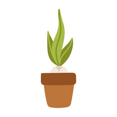 Cute spring flower bulb in a pot isolated on a white background. Cartoon vector illustration. Plant with green leaves.