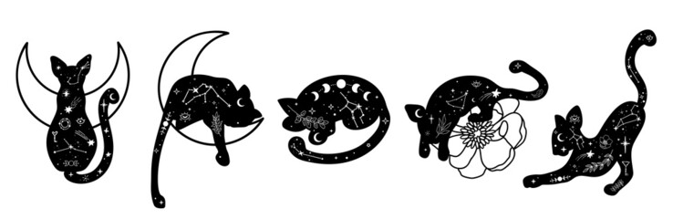 Hand drawn collection of celestial wild animals