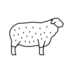 suffolk sheep line icon vector illustration