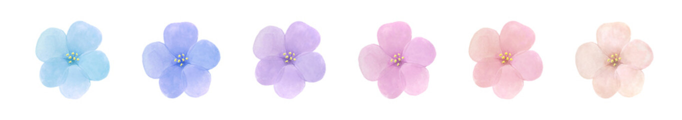 パステルカラーの花の水彩イラスト