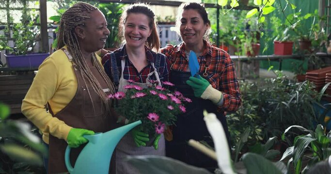 Multiracial women working together inside nursery greenhouse - Green market and spring concept