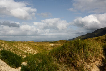 Fototapeta na wymiar View of beach with sandy dunes in the Northern Ireland