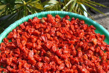 The Red hottest chilies, The Himalayan fireball