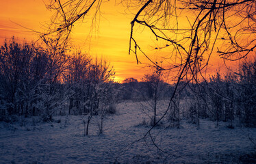 Beautiful winter scene