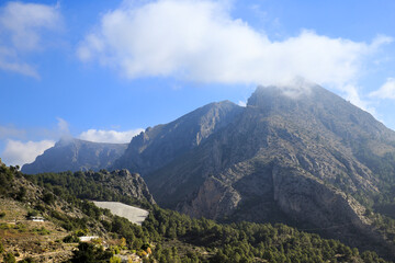 Mountain landscape with medlar plantations