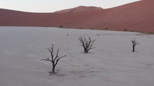 Aerial drone footage of the famous Deadvlei in Sossusvlei, Namibia before sunrise