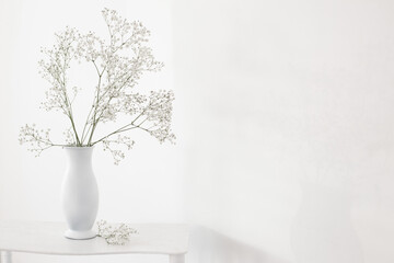 Fototapeta na wymiar gypsophila in white vase on old wooden shelf on white background