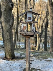 birdhouse on a tree