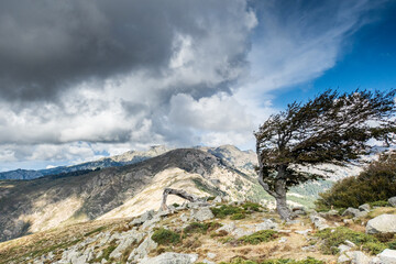 Randonnée Trek GR20 Corse