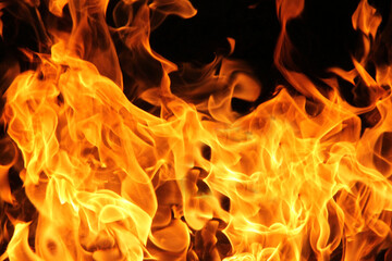 Fototapeta premium Fire flames on black background.