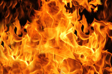 Fire flames on black background.