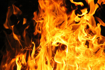 Fire flames on black background.
