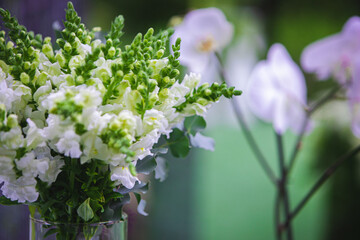 White vase with flowers in a restaurant. Basket with flowers, kibana, wedding floristry.