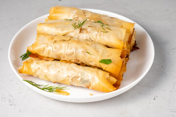 Puff pastry with filling in a plate. Burek.