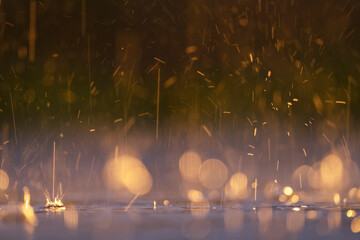 Rain, light and Bokeh balls