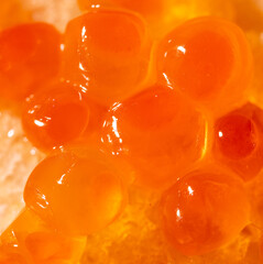 Red salmon caviar as a background.