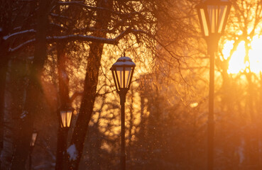 Lanterns in the park at sunset