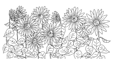 手描き線画のひまわり畑