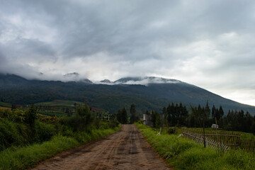 beautiful view of farmland in a tropical village