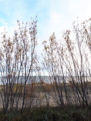 Road to Jurmala beach