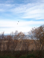 Road to Jurmala beach