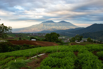 Fototapeta premium beautiful view of farmland in a tropical village