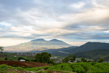 beautiful view of farmland in a tropical village