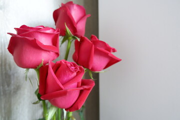 The gentle sunlight hits the red roses in a vase of colors of beauty filled with love.