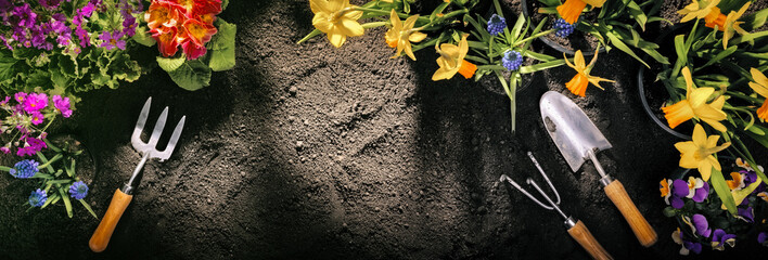 Composition with flowers and gardening tools on soil background