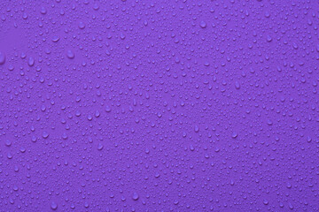 Water drops on purple  color  surface