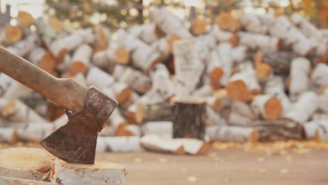 A man is chopping birch logs for firewood for kindling the stove. Camera movement from left to right, track. Selective focus