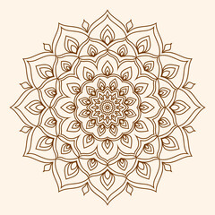 mandala abstract circular flower decoration vector design element