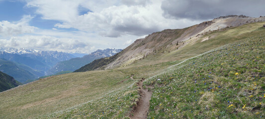 Col du Péas, Parc du Queyras, Hautes-Alpes, France 