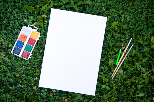 White paper texture on green grass background with paints. Art concept