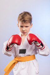 Studio shot of confident boy wearing sport uniform and boxing gloves . Sport training for kids...