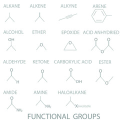15 Functional groups molecular skeletal formula.	