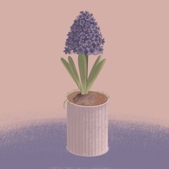 Illustration fleur jacinthe