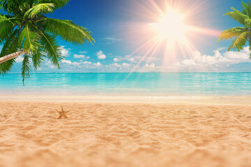 Sunny exotic beach by the ocean with palm trees at sunset. Summer vacation by the sea