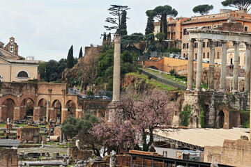 The Roman Forum in Rome