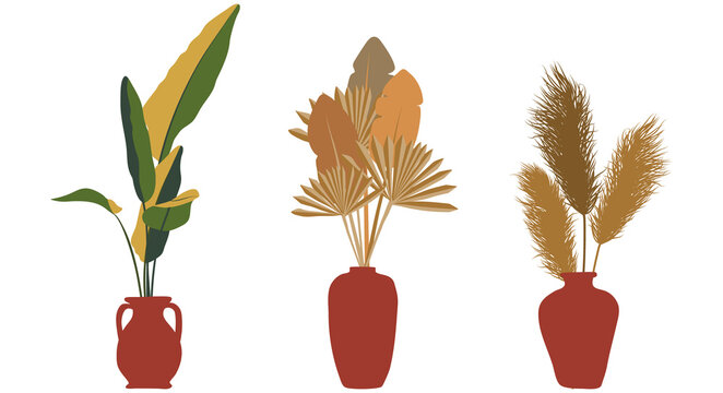 Boho plants in pots. Isolated objects of plants. clip-art