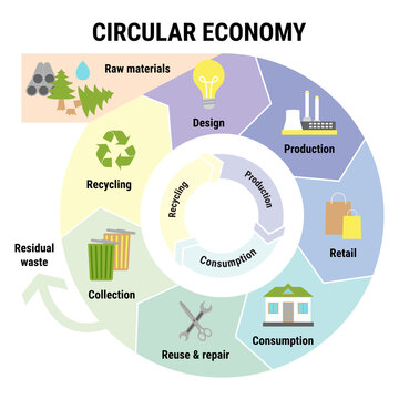 Circular economy infographic. Sustainable business model. Scheme of product life cycle from raw material to design, production, consumption, reusing, collection, recycling. Flat vector illustration