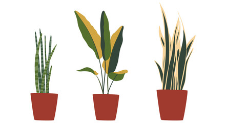 Fototapeta na wymiar Boho plants in pots. Isolated objects of plants. clip-art