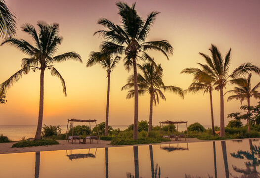 ropical resort with pool at sunset. Pool and palm trees silhouettes in evening dusk. Twilight in tranquil paradise. Scenic exotic landscape. Luxury resort in dusk. Summer travel.