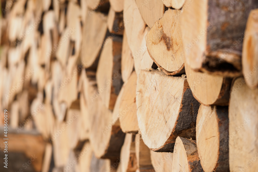 Poster cut logs of dried beech wood on top of each other.