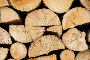 Naklejka premium Cut logs of dried beech wood on top of each other.