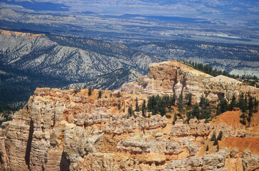 Bryce Canyon .Utah .Usa . Colori e verde particolari 