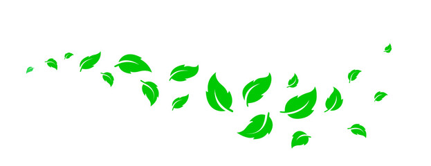 Green natural wave with flying leaves silhouettes on white background - 488605213