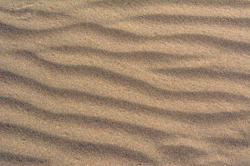 Top view of sandy beach. Background with copy space and visible sand texture.