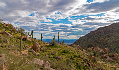 Fototapeta na wymiar Springtime View From Pinnacle Peak Trail In Scottsdale, Arizona With Hikers