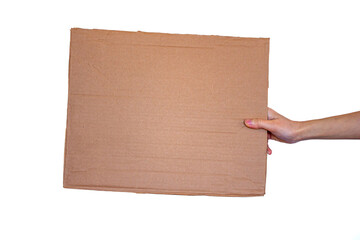 Hand holding blank cardboard box isolated on white background.